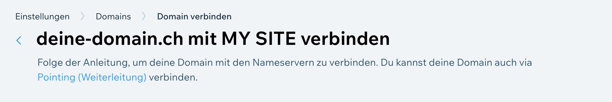 Domain-Pointing (Weiterleitung)
